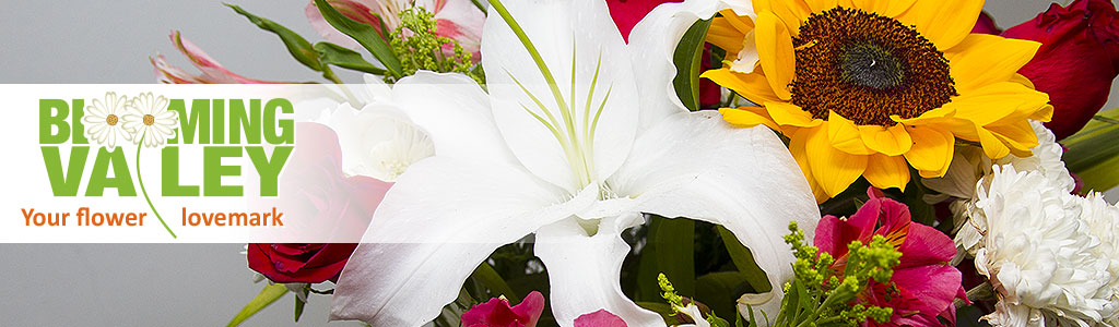 blooming valley flower trade